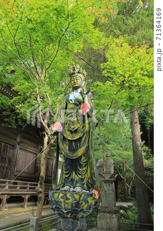 四国霊場第44番札所「大宝寺」十一面観音菩薩立像 71364169