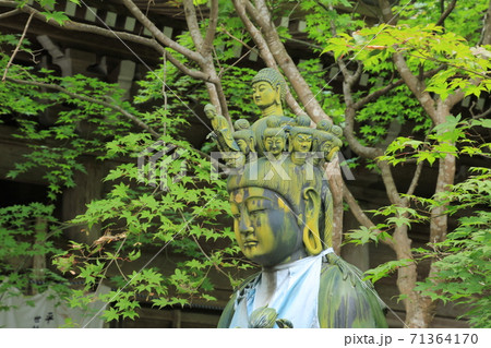 四国霊場第44番札所「大宝寺」十一面観音菩薩立像 71364170