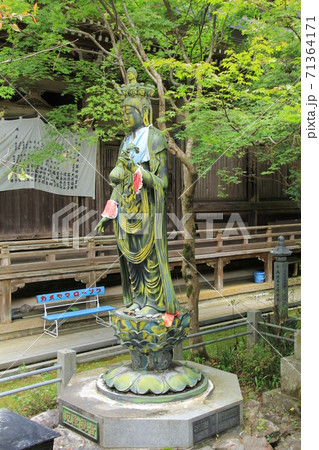 四国霊場第44番札所「大宝寺」十一面観音菩薩立像 71364171