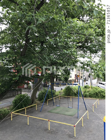 ブランコに乗りたい 71365857