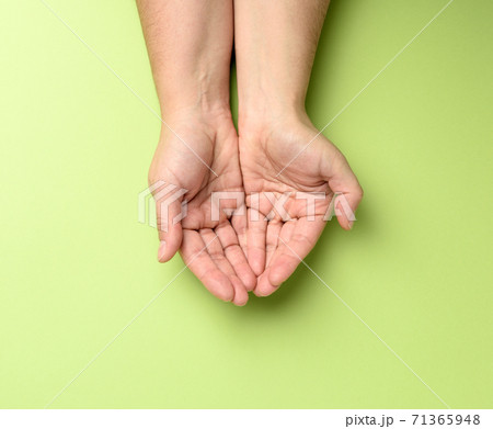 two female hands folded palm to palm on a green background 71365948