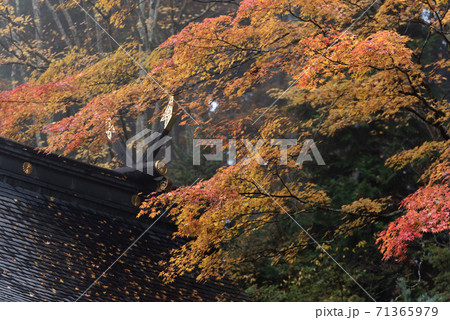秋の三峰神社　 71365979
