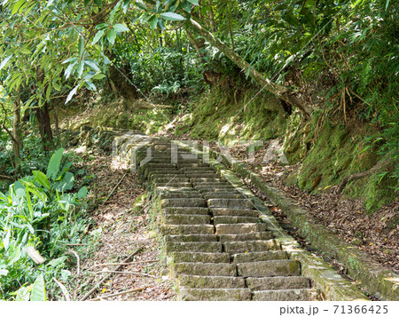 Hiking path and sunset in beautiful woods view Hiking path and sunset in beautiful woods view 71366425