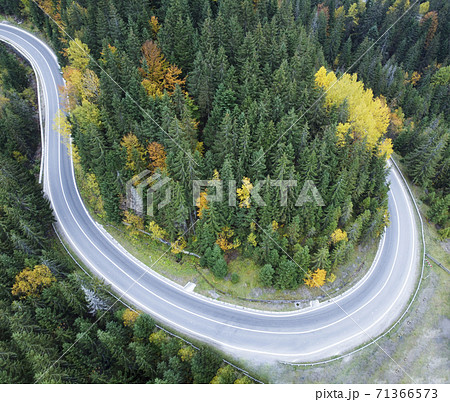Paved road through a dense forest in the Carpathian mountains, Ukraine. 71366573