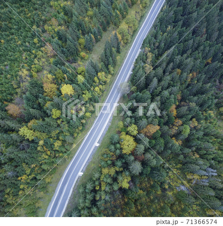 Straight road through the forest top view 71366574