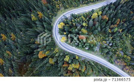 Top view, road through dense forest. Aerial view. 71366575