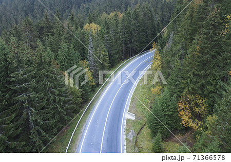 The road passes through a dense forest in the mountains. 71366578