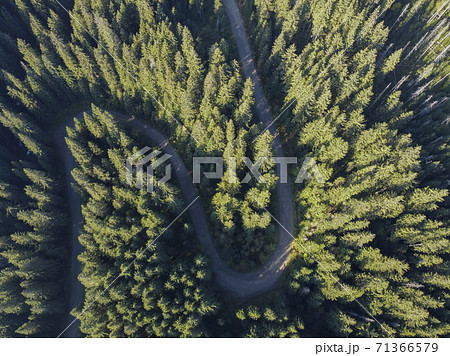 Aerial view over mountain road going through forest landscape 71366579