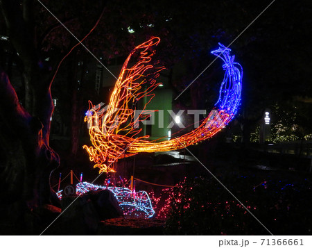 火の鳥(ひろしまドリミネーション) 火の鳥(ひろしまドリミネーション) 71366661