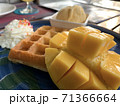 南国感 71366664