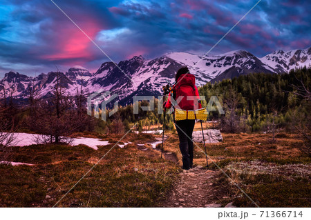 Female Backpacker Hiking in Canadian Rockies 71366714