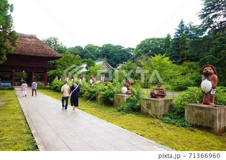 茂林寺 分福茶釜 ぶんぶく茶釜 山門 参道 たぬき 狸 タヌキ 像   茂林寺 分福茶釜 ぶんぶく茶釜 山門 参道 たぬき 狸 タヌキ 像   71366960