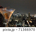 ルーフトップバー 71366970