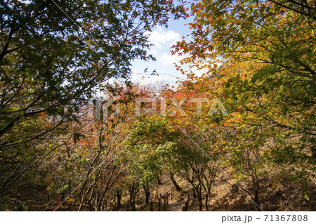 スリサン 安山市 都立公園 71367808