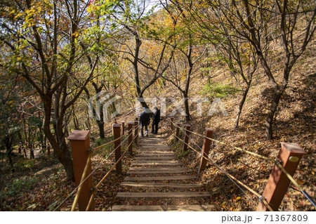 スリサン 安山市 登山 71367809