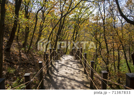 スリサン 安山市 都立公園 71367833