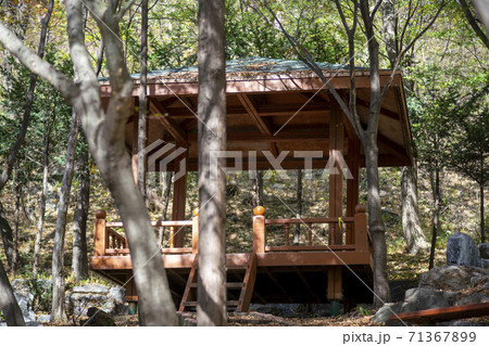 スリサン 安山市 秋 71367899