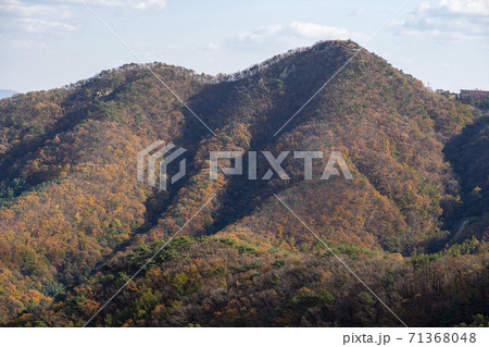 スリサン 安山市 風景 71368048