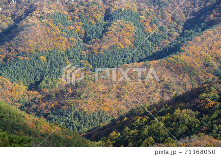 スリサン 安山市 風景 71368050