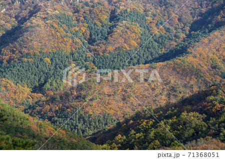 スリサン 安山市 風景 71368051