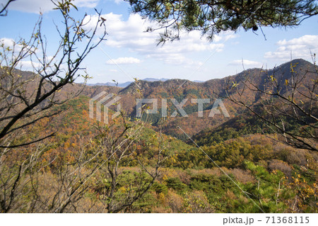 スリサン 安山市 風景 71368115