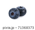 closeup fresh blueberry on white background 71368373