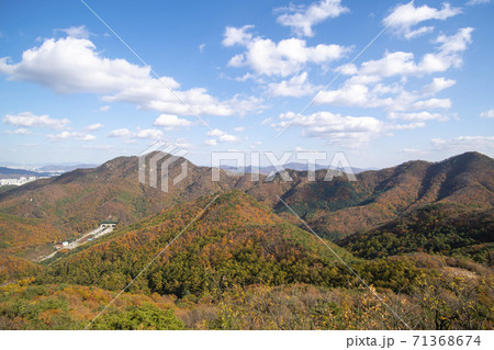 スリサン 安山市 風景 71368674
