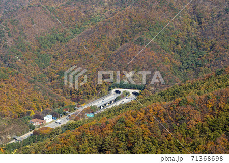 スリサン 安山市 秋 71368698