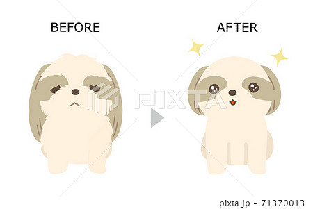 犬のトリミング シーズー ビフォアアフター 白背景のイラスト素材