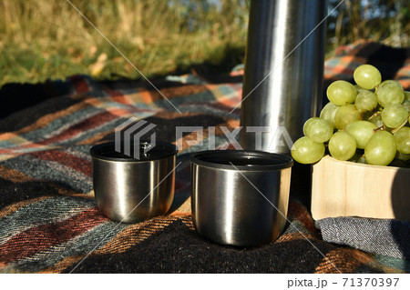 Autumn picnic tea thermos with grapes and peaches. Fruits and Tea on blanket. Outdoor lunch. Picnic with tea in a thermos 71370397
