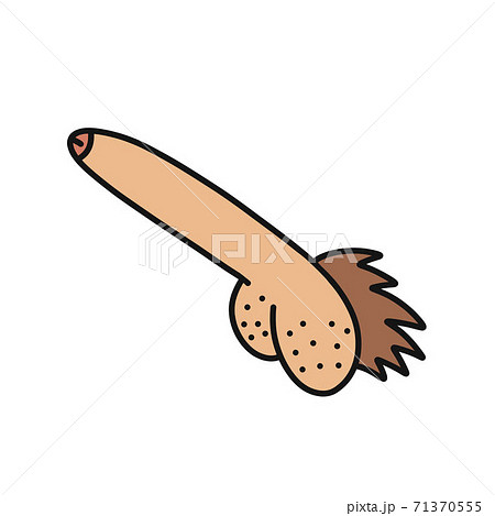 penis doodle icon, vector color line illustration 71370555