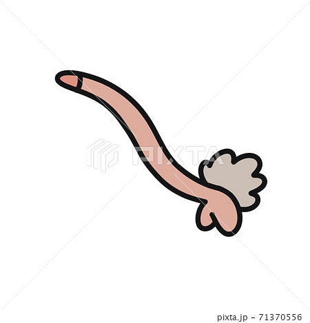 penis doodle icon, vector color line illustration penis doodle icon, vector color line illustration 71370556