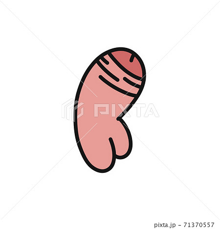 penis doodle icon, vector color line illustration 71370557