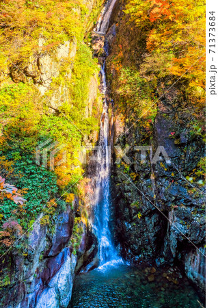 紅葉と風鼻滝（縦） 71373684