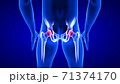 Hip Pain close-up illustration. Blue Human Anatomy Body 3D Scan render on blue background 71374170
