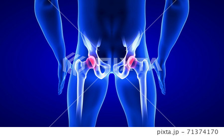 Hip Pain close-up illustration. Blue Human Anatomy Body 3D Scan render on blue background Hip Pain close-up illustration. Blue Human Anatomy Body 3D Scan render on blue background 71374170