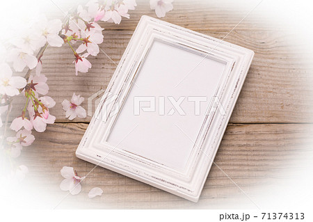 白い写真フレームと桜の花 楕円ぼかし 白い写真フレームと桜の花 楕円ぼかし 71374313