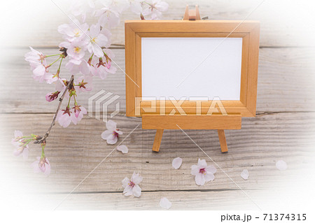 フォトフレームと桜の花 楕円ぼかし フォトフレームと桜の花 楕円ぼかし 71374315