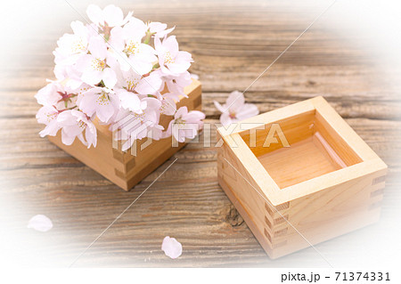 桜の花と升酒　楕円ぼかし 71374331