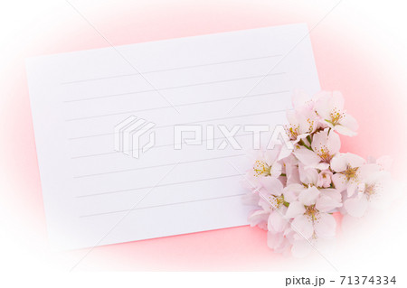 便箋と桜 楕円ぼかし 便箋と桜 楕円ぼかし 71374334