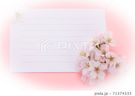 便箋と桜 楕円ぼかし 便箋と桜 楕円ぼかし 71374335
