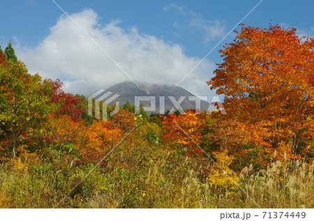 岩木山山麓の鮮やかな紅葉 岩木山山麓の鮮やかな紅葉 71374449