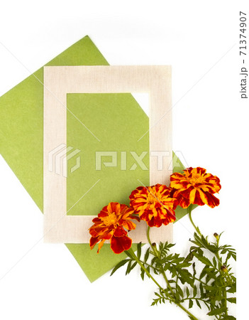 Yellow red orange autumn fall marigold calendula flowers, natural beige yellow frame and green paper on white background. Border photo with free blank copy space for text Yellow red orange autumn fall marigold calendula flowers, natural beige yellow frame and green paper on white background. Border photo with free blank copy space for text 71374907