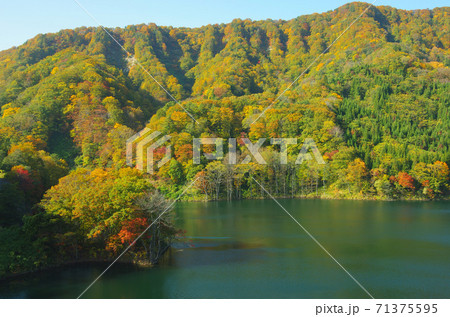 津軽白神湖畔の紅葉 津軽白神湖畔の紅葉 71375595