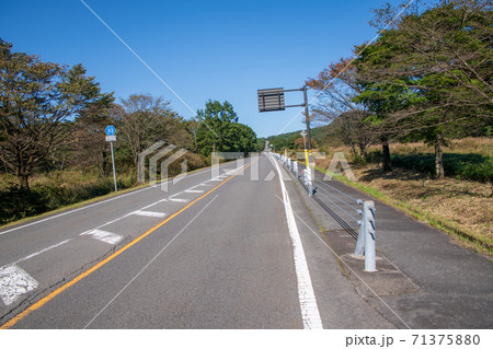 メロディーライン　ゆうすの道付近　県立榛名公園　　　 71375880