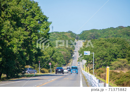 メロディーライン ゆうすの道付近 県立榛名公園 メロディーライン ゆうすの道付近 県立榛名公園 71375882