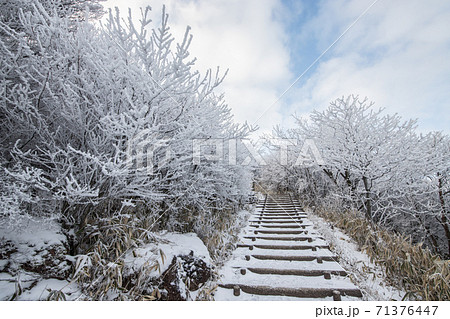 九重連山の雪景色 九重連山の雪景色 71376447