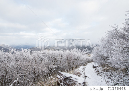 九重連山の雪景色 71376448