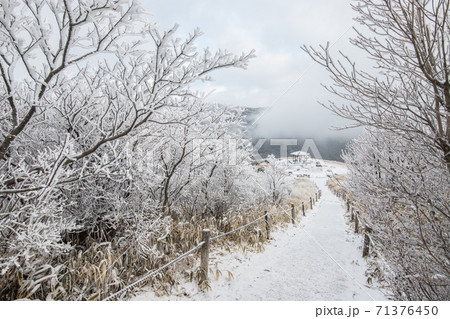 九重連山の雪景色 九重連山の雪景色 71376450