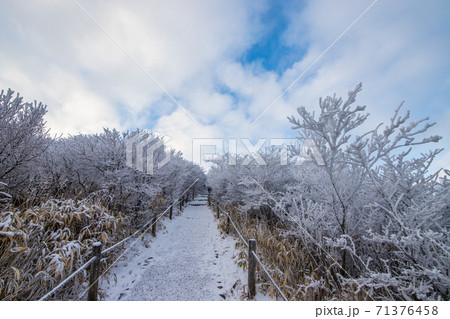九重連山の雪景色 九重連山の雪景色 71376458